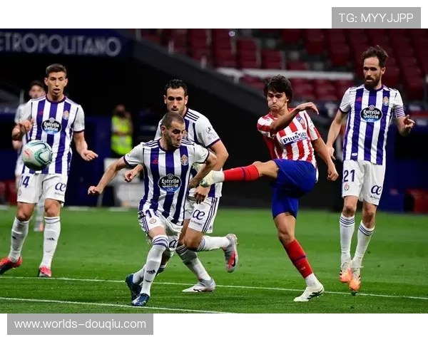 斗球app官网下载安装包完整版本提供，快速安装开启你的足球竞技之旅