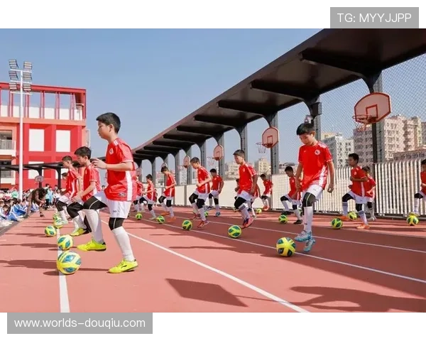 斗球体育app下载流程详解，确保每一步都顺利完成享受精彩体育比赛